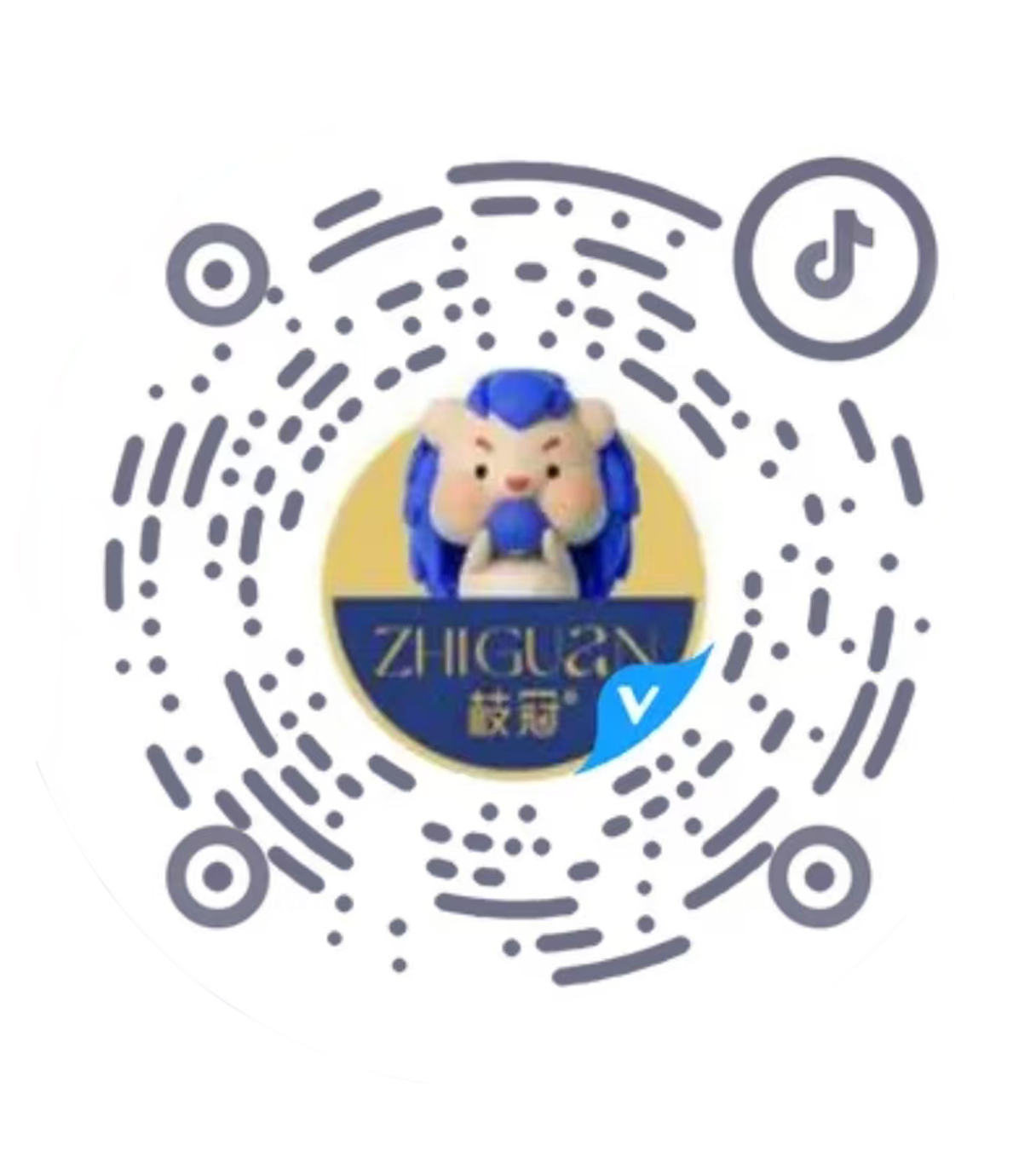 TikTok QR