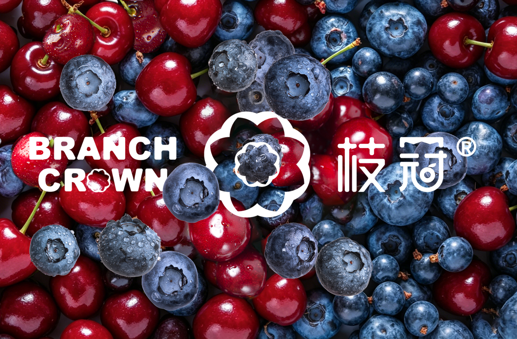 Fruit Brand