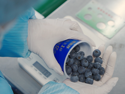 Pre-packaging inspection